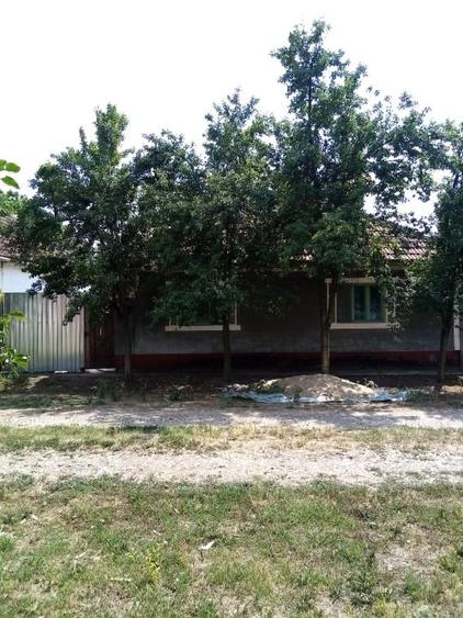 Casă individuală cu 3 camere cu Canalizare în Zerindu Mic