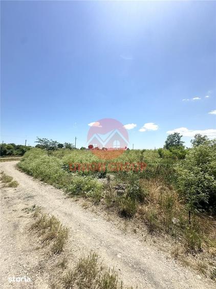 Teren de 1700 mp, în Amzacea