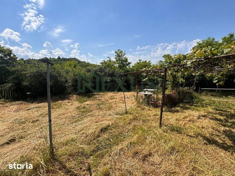 Casă cu 2 camere cu Teren 3200 Mp în Traian