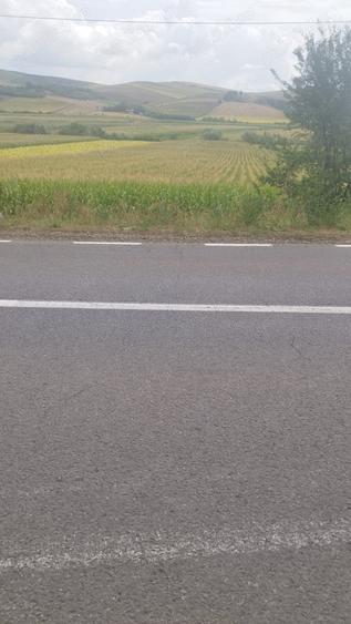 Teren de 6400 mp, în Central