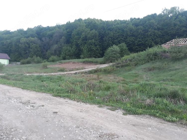 Teren de 807 mp, în Schiau