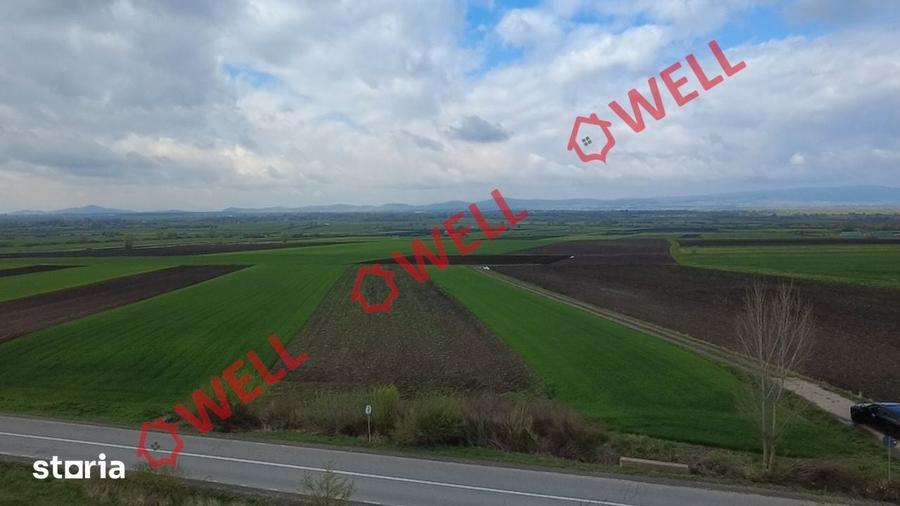 Teren de 5000 mp, în Ozun