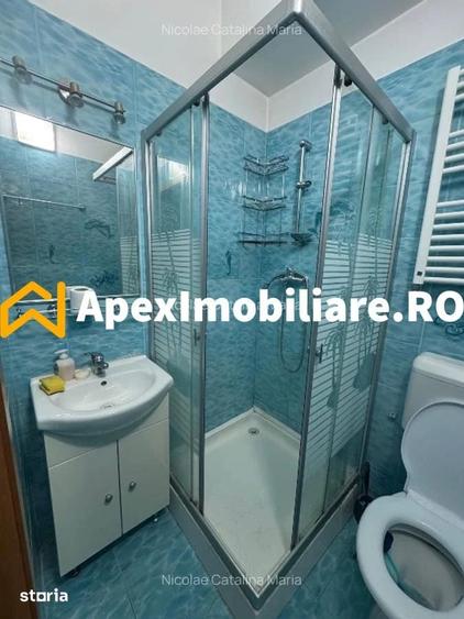Apartament 1 camere de inchiriat P-ta Romana Bucuresti | ApexImobiliar - 8