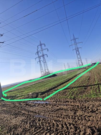 Teren agricol extravilan de 5000 mp, în Sud