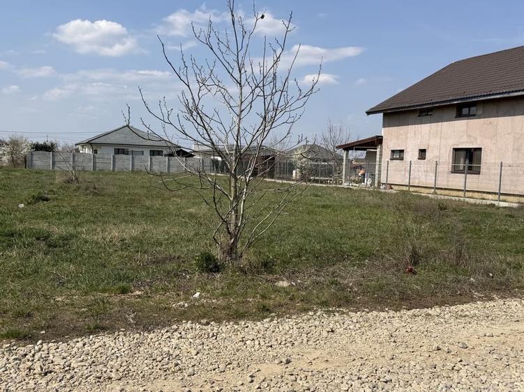 Teren de 1000 mp, în Sântandrei