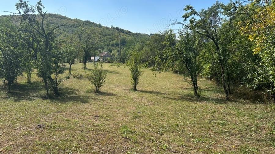 Teren de 3000 mp, în Central