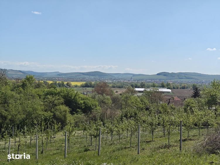 Teren de 1400 mp, în Sântana de Mureș