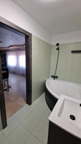 Apartament cu 2 camere semidecomandat, mobilat în Iosefin