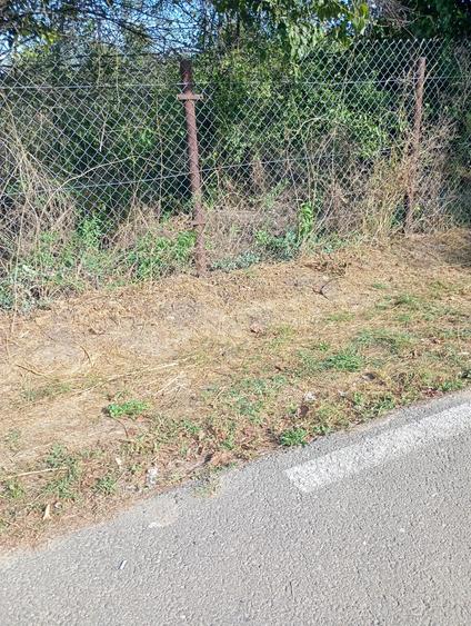 Teren de 5700 mp, în Unguriu