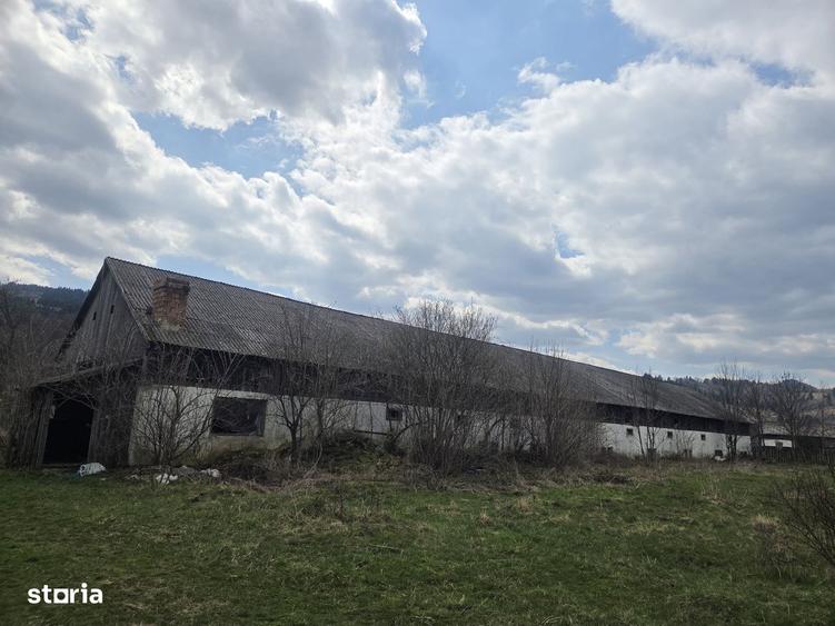 Spațiu comercial, de 560 mp, în Tulgheș