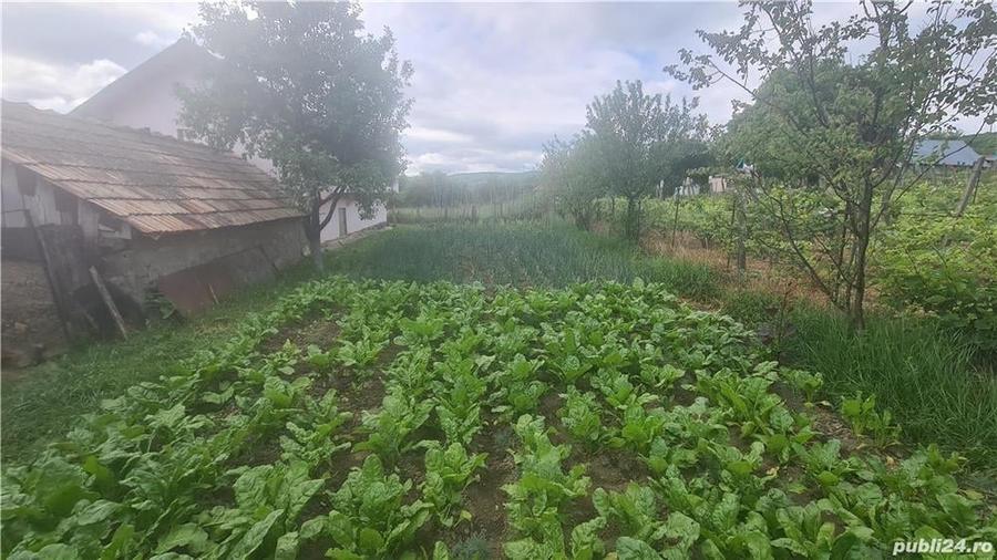 Casă cu Teren 1104 Mp în Poienari
