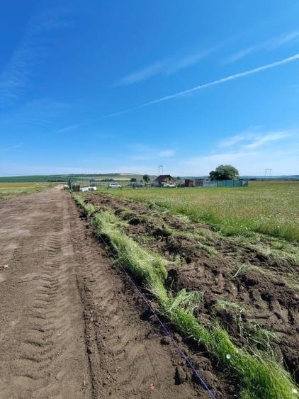 Teren agricol extravilan de 515 mp, în Turnișor