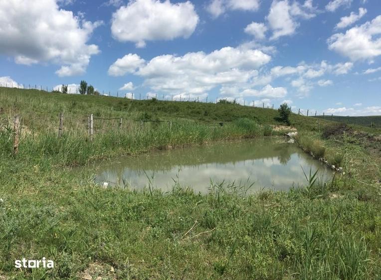 Teren de 390000 mp, în Iclod