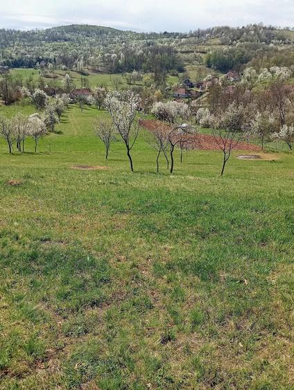 Teren de 2800 mp, în Ormindea