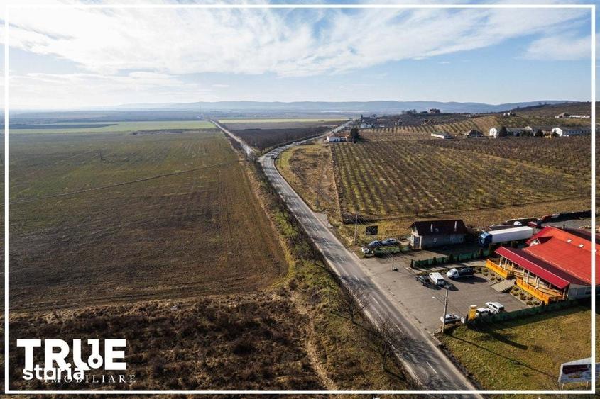 Teren de 1000 mp, în Central