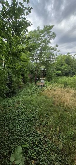Casă cu 3 camere în Răsuceni