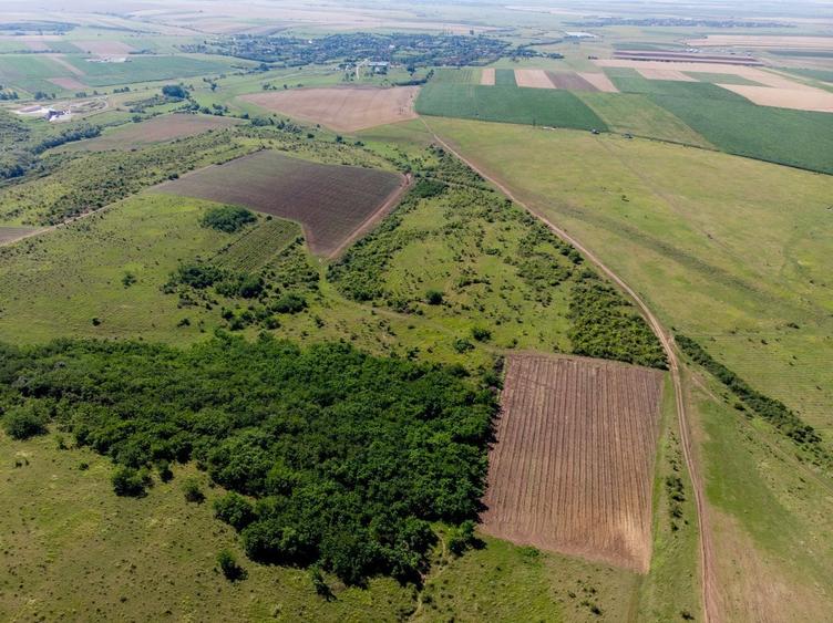 Teren agricol extravilan de 20097500 mp, în Exterior Sud