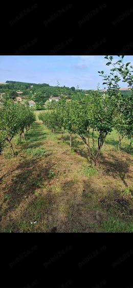 Casă cu 2 camere cu Teren 2946 Mp în Răzoare