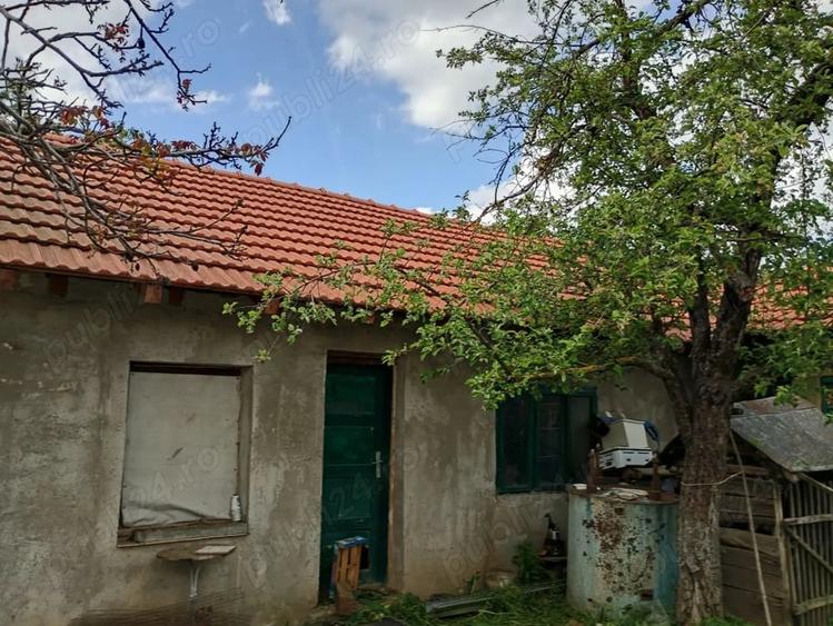 De vanzare in sat murani casa cu 2 corpuri in curte - 1
