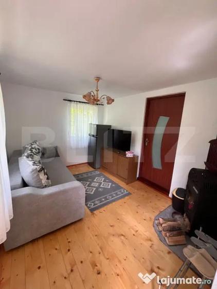 Casa de vacanta cu 4 camere, 1470 mp teren, Sugag - 8