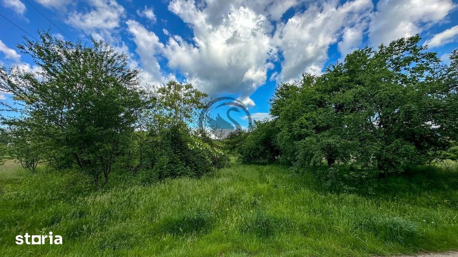 Teren de 3600 mp, în Gura Vitioarei