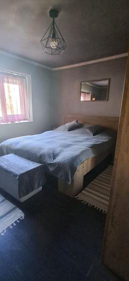 Casă cu 3 camere în Borșa