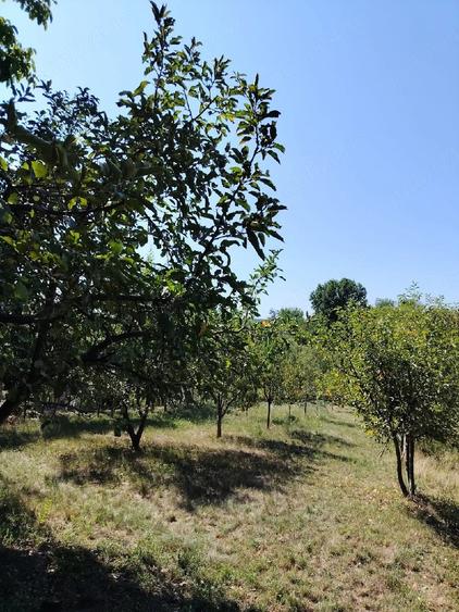 Casă cu 2 camere cu Teren 24 Mp în Răbăgani