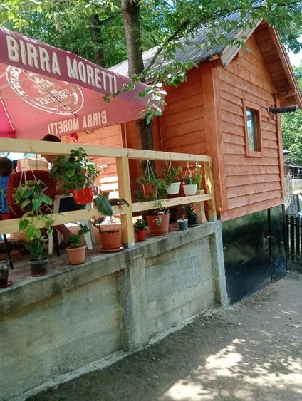 Teren de 800 mp, în Scorțeni
