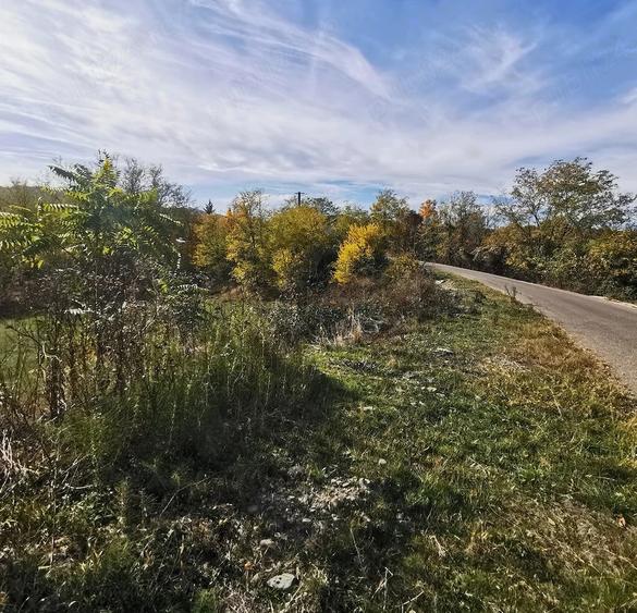 Teren de 2500 mp, în Vitioara de Sus