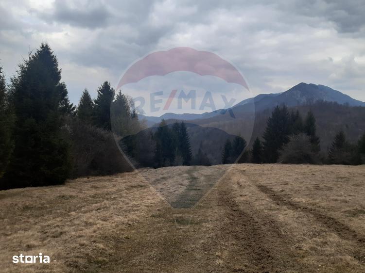 Teren de 14250 mp, în Central