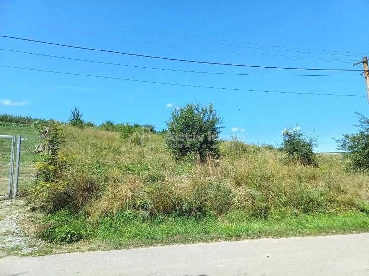 Teren de 2000 mp, în Ciurila