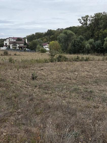 Teren de 4070 mp, în Bălteni