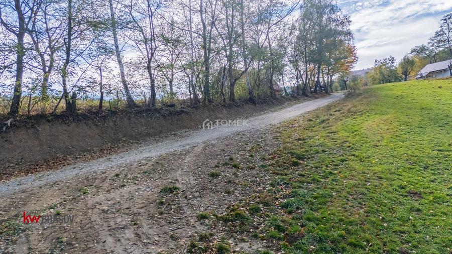 Teren Construcții intravilan de 37723 mp, în Tohănița