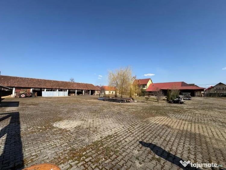 Teren în Ocna Șugatag