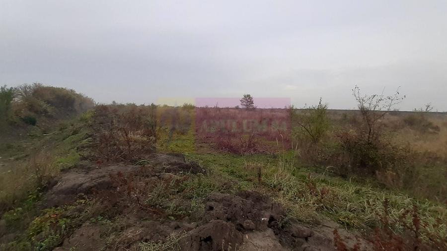 Teren agricol extravilan de 5000 mp, în Corbeanca