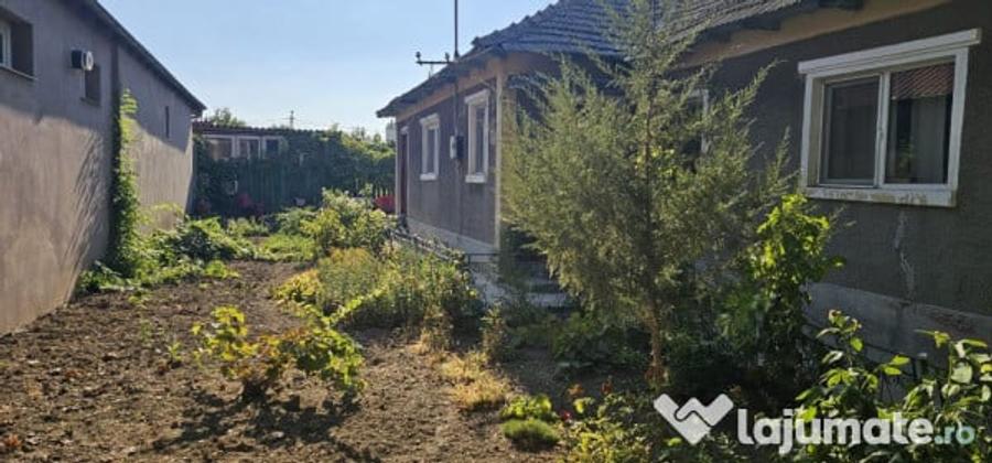 Casă cu 3 camere cu Teren 748 Mp în Palazu Mare