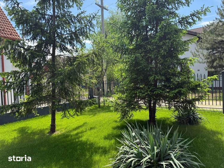 Vila individuala | Curte matura | Laguna Albastra - 2