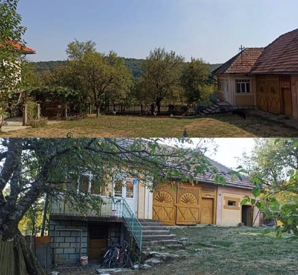 Casă individuală cu 3 camere cu Teren 3500 Mp în Prislop