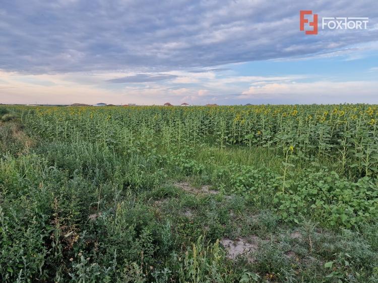 Teren Construcții intravilan de 2100 mp, în Remetea Mare