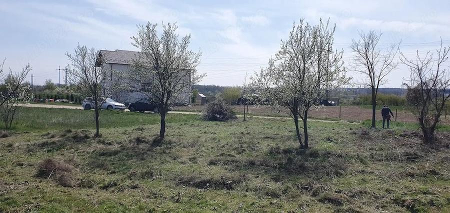 Teren de 500 mp, în Mărăcineni