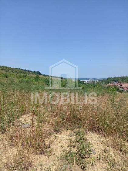Teren Construcții intravilan de 8800 mp, în Calea Sighisoarei