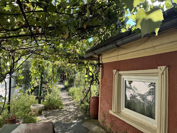 Bd. Uverturii, zona Cernisoara, Casa si teren intravilan 512 mp - 14