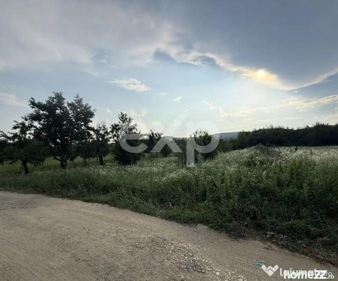 Teren în Central