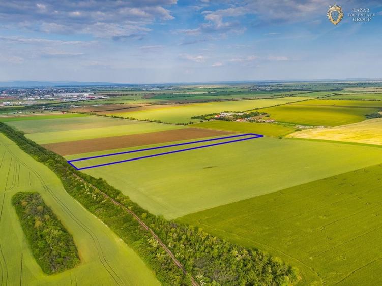 Teren agricol extravilan de 44900 mp, în Aradul Nou