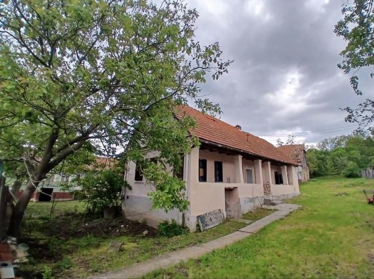 Casă cu 3 camere în Berghin