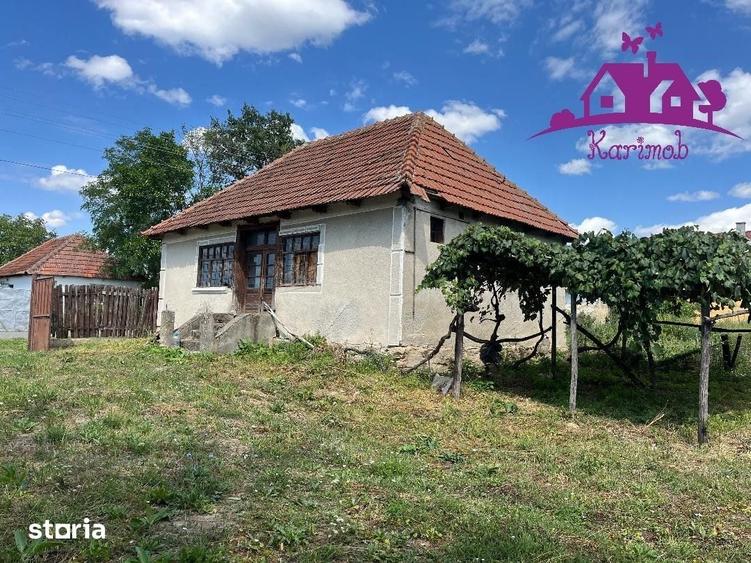 Casă cu 2 camere cu Teren 3208 Mp în Girișu de Criș