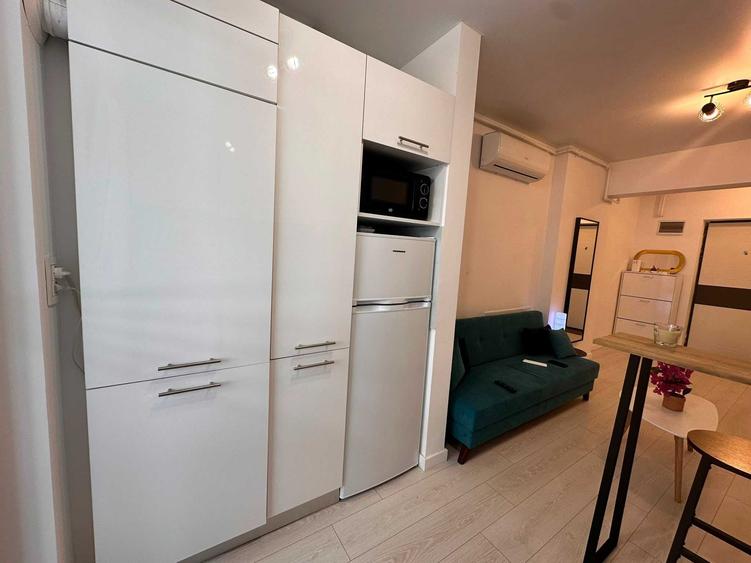 De inchiriat Apartament 2 camere / Studio Str. Biruintei 81 - 4