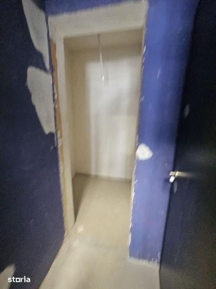 Spatiu Pacurari Bulevard - 2