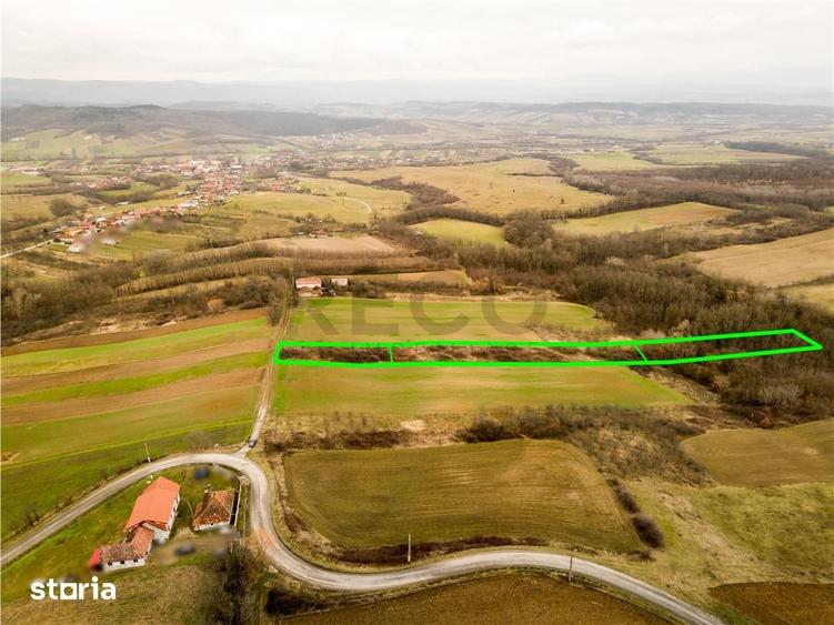 Teren de 7089 mp, în Ceica