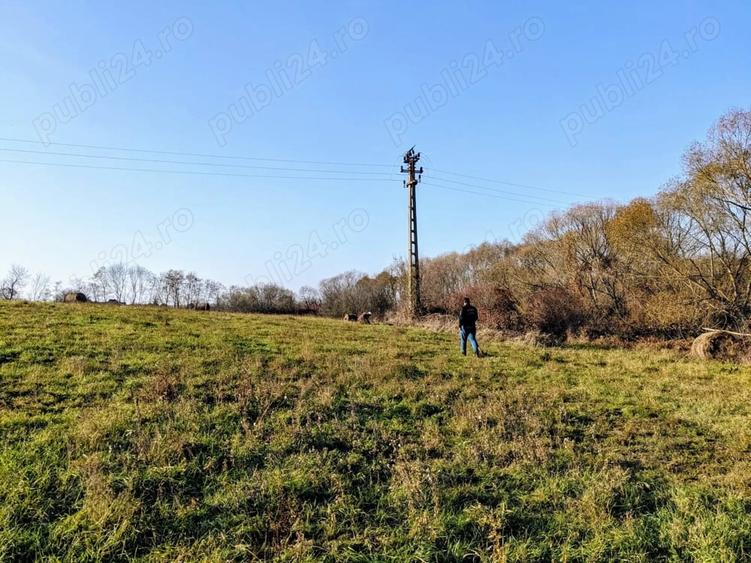 Teren de 15000 mp, în Sărand